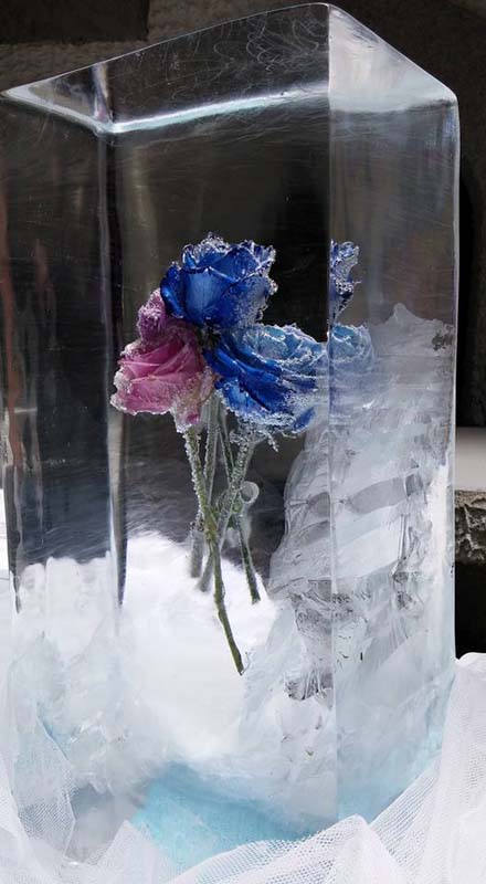 Plave ruže u ledu