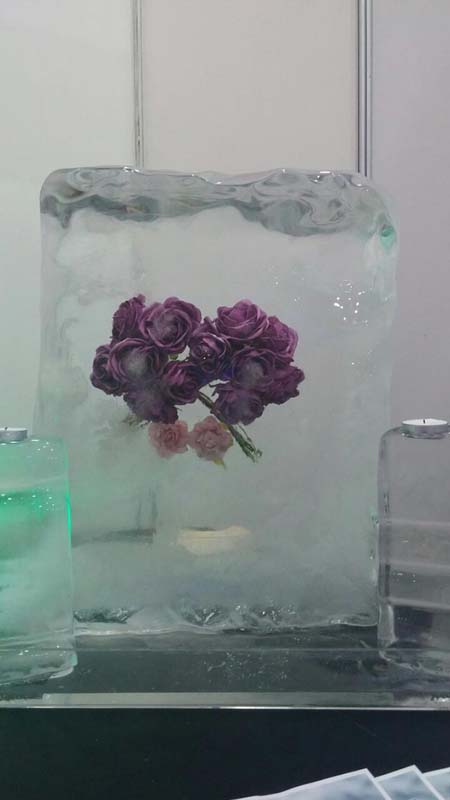Ruže u ledu