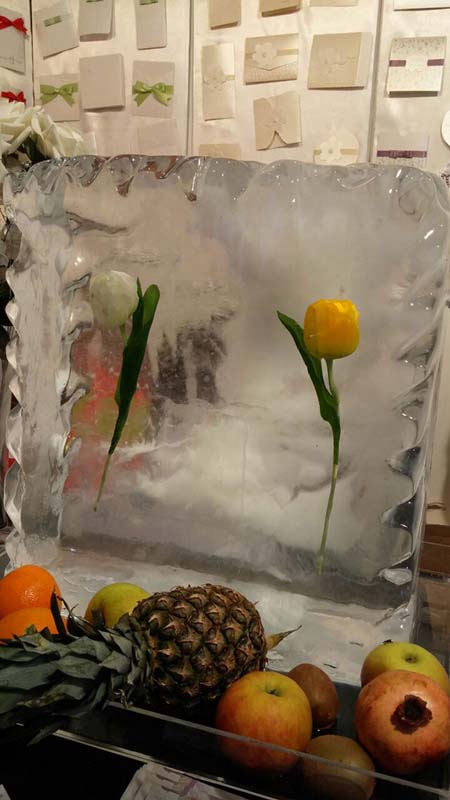 Tulipani u ledu